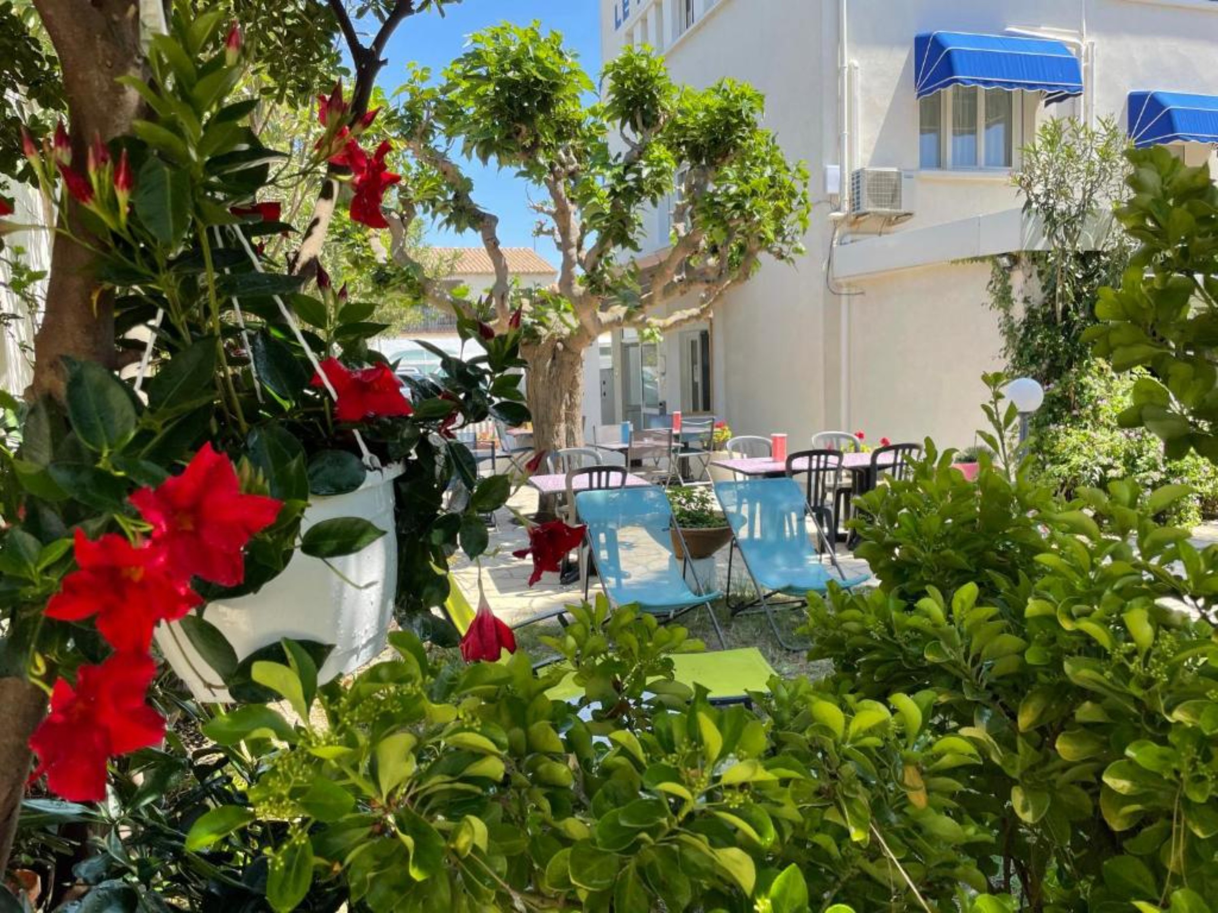 Jardin - Hotel Saintes Maries de la Mer Mirage